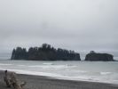 PICTURES/Rialto Beach/t_Big & Small1.JPG